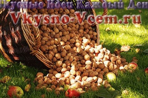 A dió előnyei a szívre