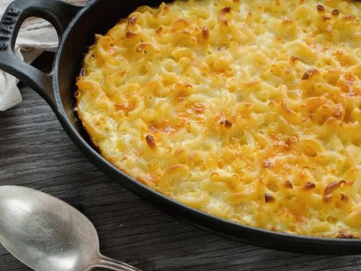 Fotómackó és sajt - makaróni és sajt