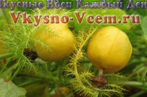 Passion gyümölcs - Hagyja, hogy a szex szikra repüljön!