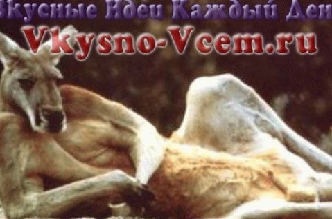 Kenguru hús főzési hírei