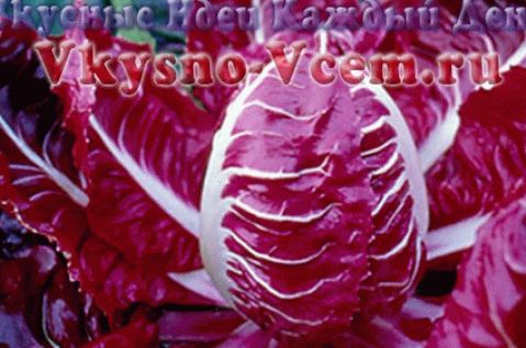 A raddichio saláta hasznos tulajdonságai