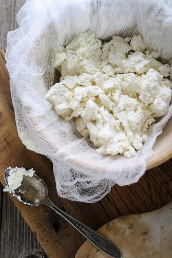 Fotó Ricotta otthon