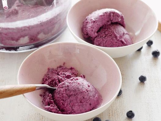 Fagyasztott áfonya-joghurt fotó